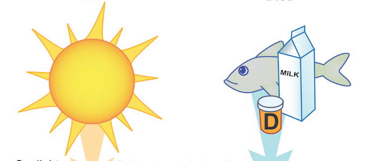 Vitamín D ako doplnková liečba črevných zápalových ochorení