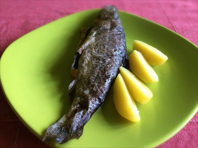 Pečený pstruh